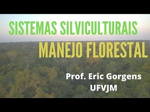 Sistema silvicultural