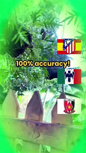 No se los escudos pero le atine