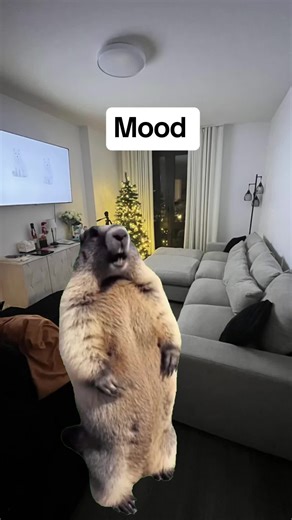 #CapCut how I woke up feeling