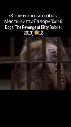 Фильмы, сериалы, подборка кино on Instagram: "«Кошки против собак: Месть Китти Галор» (Cats & Dogs: The Revenge of Kitty Galore, 2010)Китти Галор — бывший агент шпионской организации МЯУС (кошачьей разведки). После несчастного случая, в результате которого она лишилась шерсти, характер Китти окончательно испортился. Она выходит из подчинения и замысливает дьявольский план: передать на спутник специальную звуковую программу «Зов природы». Услышав её, все собаки в мире взбесятся и нападут на своих