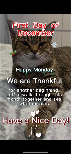 4K views · 320 reactions | ️✨ Happy First Day of December. Even if...