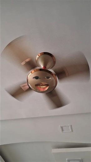 Cat vs Ceiling fan 😹 #cat #funny #shorts