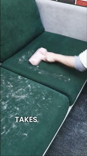 Cat Hair Everywhere? Remove It in Seconds! #shorts