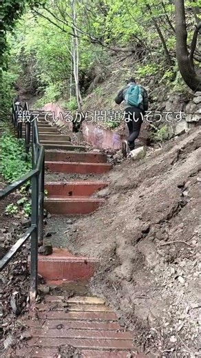 海外旅行に最強の夫③ #shorts