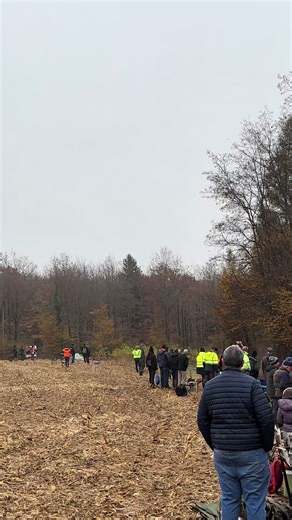 Ludovic Godard au Rallye de l’Ognon 2025 #rallye #porsche