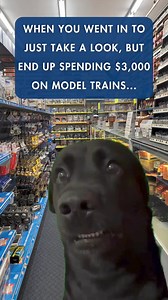 62K views · 1.2K reactions | The true facts of a model train collector every time we go to a model train store!  Shop online: TrainWorld.com #trainsale #trainworld #trainland #modeltrains #train #toytrain #toytrains #trains #modeltrainhobby #trainsale #trainset #trainsets #trainspotting #meme #trainmeme | TrainWorld.com | Facebook