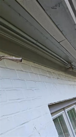 Getting rid of exposed cloth wire and running conduit! | Platinum Electrical Solutions