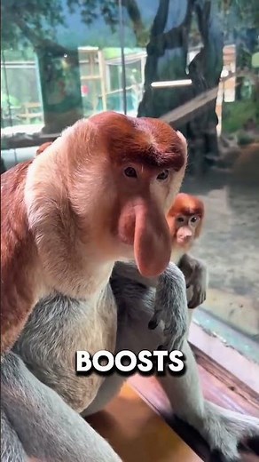 Alien Animals That Actually Exist 👽🦑 | Weird Animal Facts