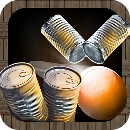 Hit the Cans- Can Knockdown Smash