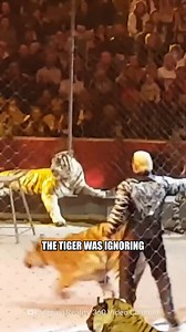 187K views · 1.8K reactions | Tiger Turns on Trainer in Shocking Attack! | How to Survive Show | Facebook
