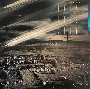 Rain Tree Crow - Rain Tree Crow