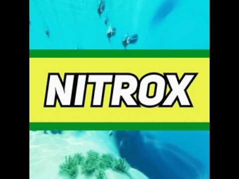 tutorial of how to make Subnautica multiplayer