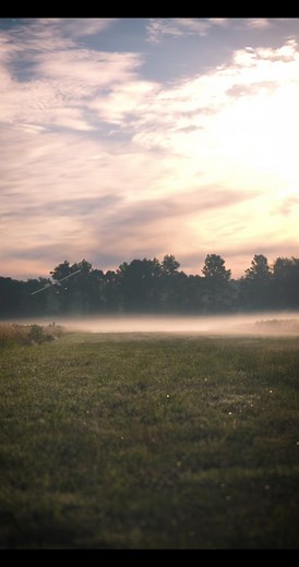 Majestic Wake: Piper Cub Aviation Enthusiast's Delight