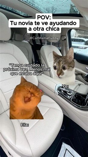 CAT MEME FUNNY 😹 When your girlfriend sees you helping another girl #cat #relatable #relationship