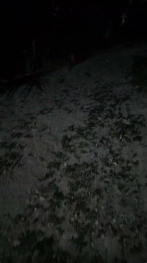 Mastiff Dog 🔥#pitmonsters