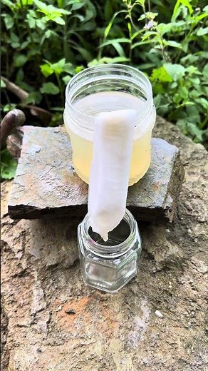 survival skills and how to filter dirty water #survival #camping #lifehacks #outdoors