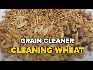 Grain Cleaner "Metra Group”, cleaning wheat, modern agricultural technology.