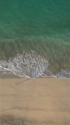 Hypnotic Minimal Tech Groove 👽 힙노틱 미니멀 딥 테크 #Shorts