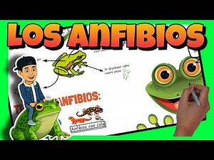 🐸 Amphibians for Elementary School Children