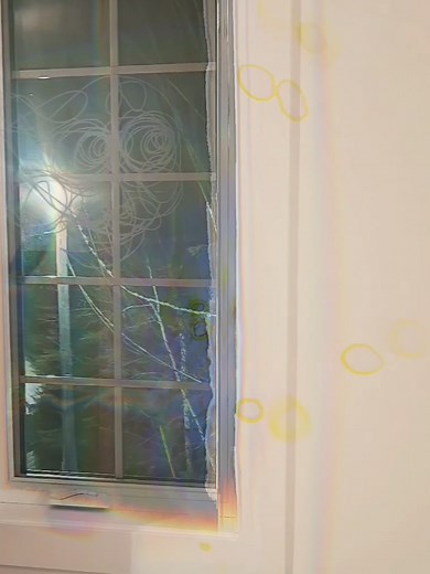 Understanding Schizophrenia Simulation and Experiences