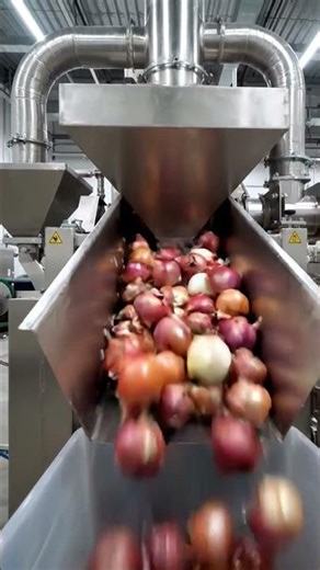 onion powder making machine #onion #powe