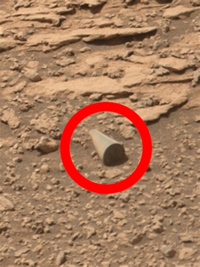 Exploring Mars: Curiosity Rover's Image from Sol 3556