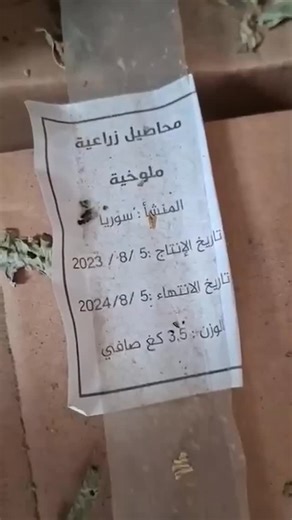 IMLebanon on Instagram‎: "ضابطة صيدا في الجمارك دهمت مستودعًا في منطقة الغازية وعثرت على حوالى 27 طناً من الملوخية اليابسة المنتهية الصلاحية كان صاحب المستودع يعمد إلى إعادة تعبئتها وتزوير تواريخ صلاحيتها تمهيدًا لتوزيعها في الأسواق"‎