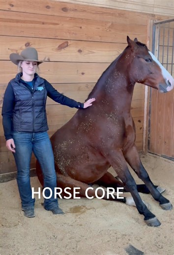 Horses Core#funnyvideos #core #funnyhorse #horsesontiktok #fyp#animals #Equestrianism #cute #farm #usaus