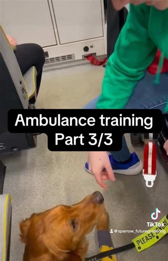 Ambulance Training with Our Future Guide Dog