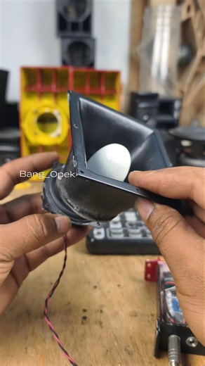 horn function on speaker