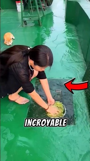 She lives on a giant ship in the middle of the river: an incredible life!