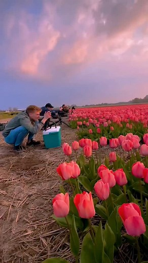 So Beautiful 😍❤️🍃 nature 🍃 ☘️... . . . . #naturelover #naturephotography #naturelovers #photography #landscape #photooftheday #perfection #travel #travelphotography #wildlife #love #flowers#ig #sunset #landscapephotography t#instagood #photo #macro #beautiful #picoftheday #mountains #sky #birds #hiking #instagram #photographer #naturephoto #forest #wanderluster | nature care