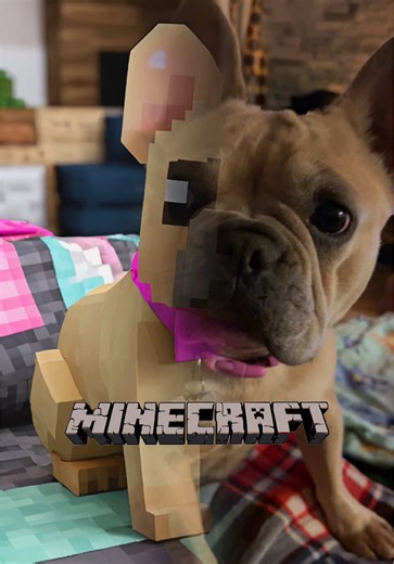 Exploring Different Dog Breeds in Minecraft