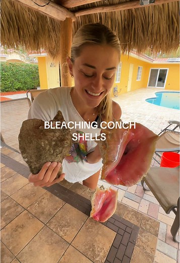 Bleaching Conch Shells: Step-by-Step Guide