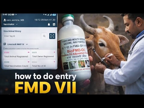 How to entry FMD phase VII in Bharat Pashudhan Portal