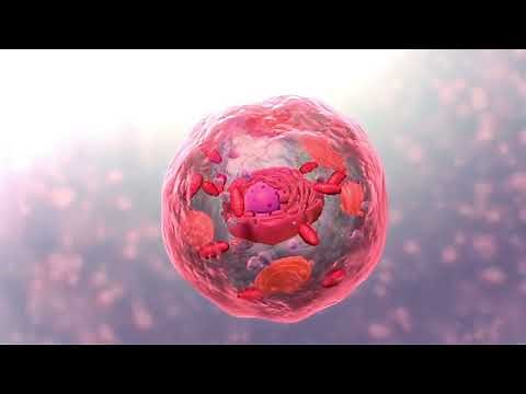 Funzionamento della cellula in 3D (biologia)