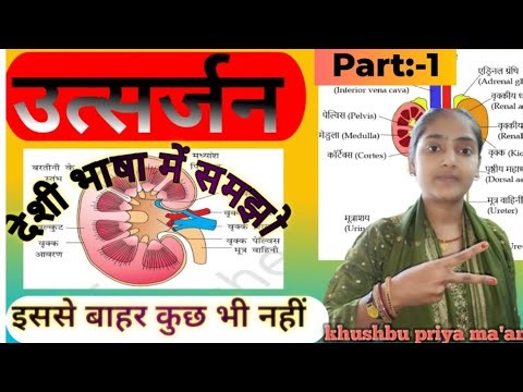 😱 मूत्र कैसे बनता है? | Urinary System Complete Explanation | Biology Trick Hindi #Viral #tranding