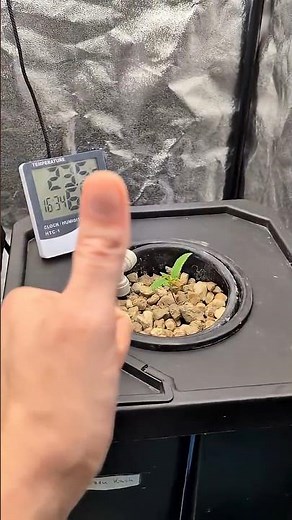 Hydro oder Erde? 💧 Warum wir uns diesmal fürs DWC entschieden haben 🌿