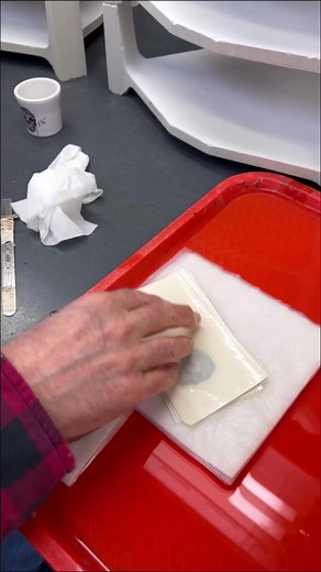 10K views · 145 reactions | Shot Glass 欄 SKULL AND VINE Shop our newest patterned Shot Glass now: bit.ly/SkullVineShotGlass | Fiesta Dinnerware | Facebook