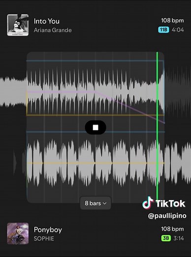 ponyboy x into you #arianagrande #sophie #spotifymix #fyp | ponyboy edit