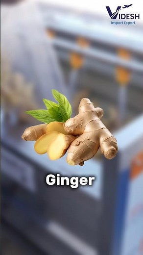 How to Export Ginger From India | Fresh vs Dried Ginger | Complete Export Guide