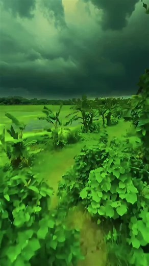 Exploring Nature's Peaceful Moments