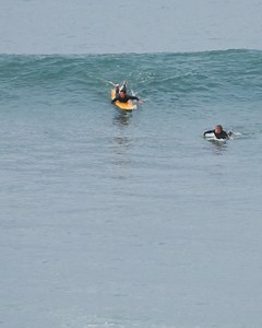 145K views · 1.8K reactions | ‍♂️ Corey Colapinto Surfboards: "Golden Egg 9'6" by Kookapinto Shapes  Cayden Williams #nobodysurf #surfing #longboard | NobodySurf | Facebook