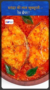 Red Snapper: The Jewel of India’s Coastline | Fishery News #RedSnapper #PremiumSeafood #IndianSeafood #CoastalFish #SeafoodIndia #fisherynews | Fishery.News