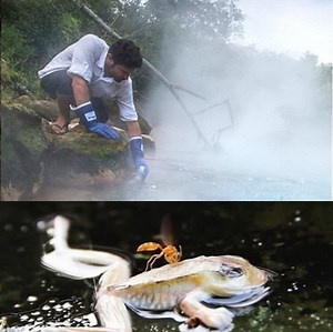 42K views · 960 reactions | wabiga lagu gubanaayo ee aadka u kulul | Cabdiqani Robot | Facebook