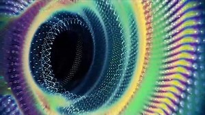 [NO COPYRIGHT ANIMATION] In the Time Machine with Sound Effect