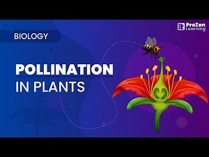Pollination in Plants | Types of pollination | Flower | Biology | Prozen learning