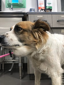 Much more than a lump!!