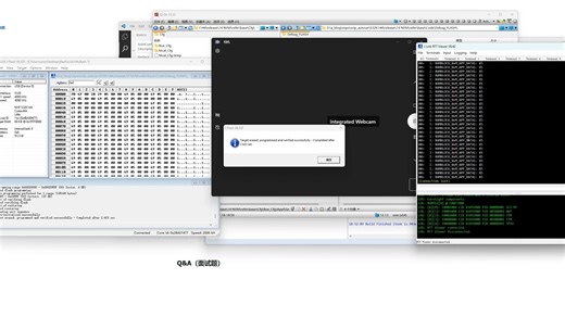 15 AUTOSAR NVM存储开发 试看 #进阶项目