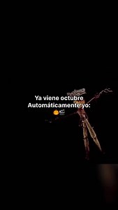 Ya viene octubre automáticamente yo: 🎃🎬 #PelículasDeHalloween 🎃 #CineDeTerror 👻 #Hocuspocus #HalloweenMovies #NocheDeMiedo #ScaryMovies #HorrorNight #PelículasDeTerror #HocusPocus #Halloween2025 #Halloween #ThisisHalloween #NocheDeBrujas | Cine Film Geek